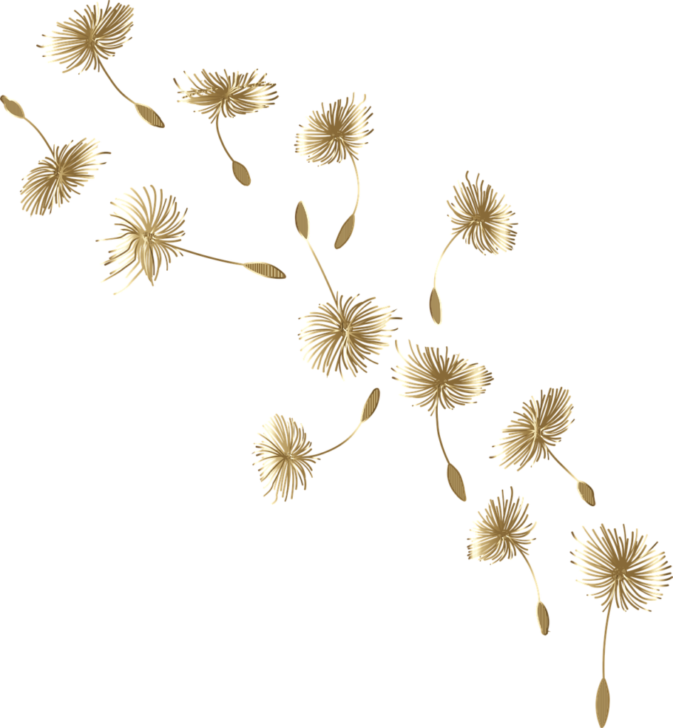dandelion, flower, seeds-5959966.jpg
